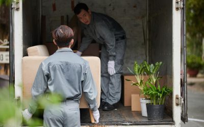 Blog 5 Utilising A Storage Facility For A Well-Organised Life